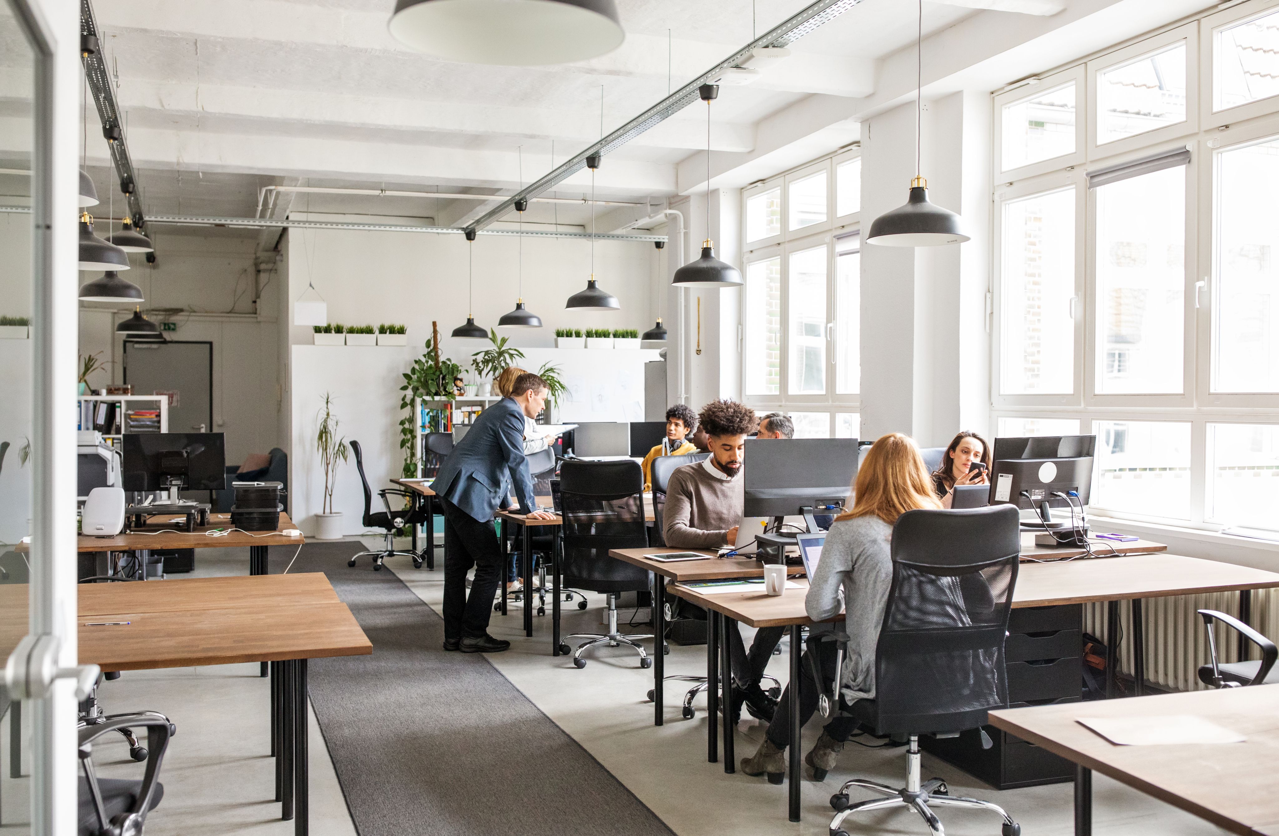 A group of employees working at desks in an office.